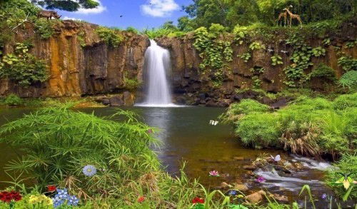 Жамшид Саидов