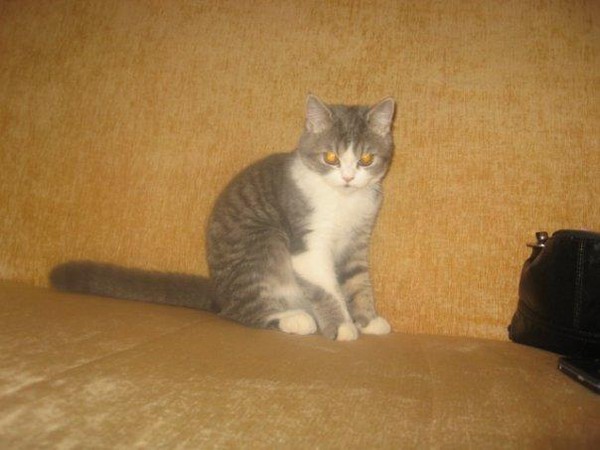 Игорь Труханов