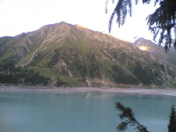 Светлана Фейфер