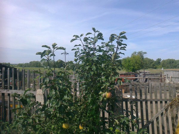 Сергей //////////////