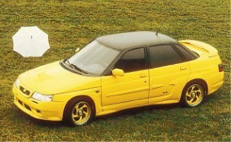 Светлана Кисиль