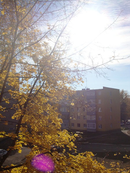 Юля Зайцева