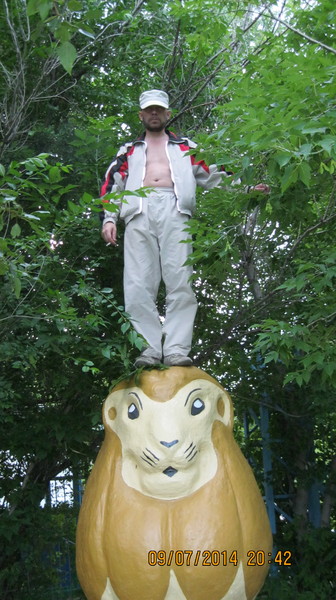 Ильгам Ровда