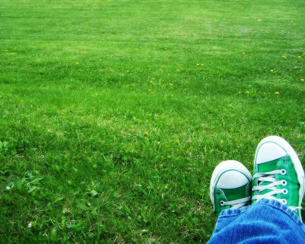 Salta )))
