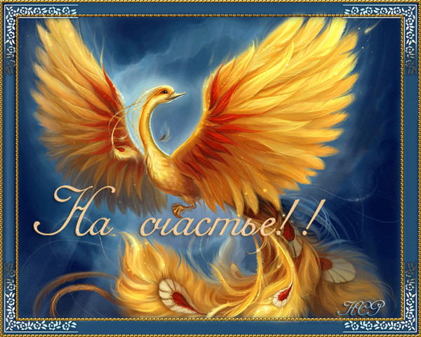 Рахат Жылкыбаева