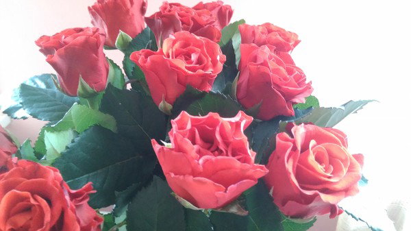 Марина Бусыгина