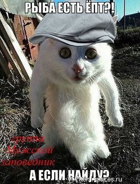Темный Ангел ________________________________________