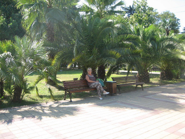 Елена Амосова