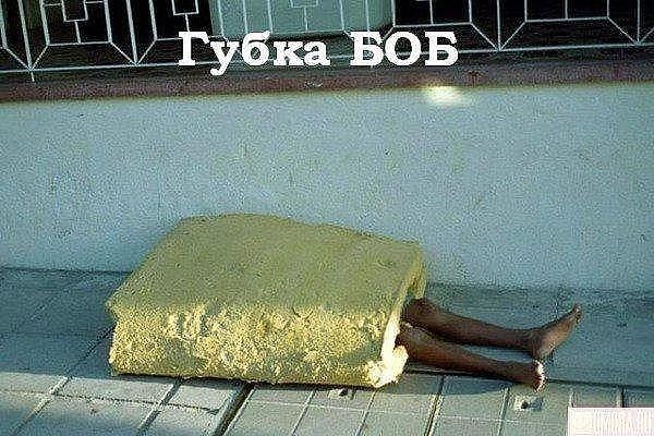 Дима Примак