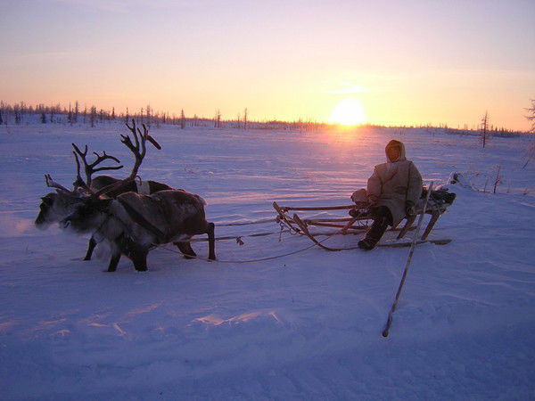 Сергей Корепанов