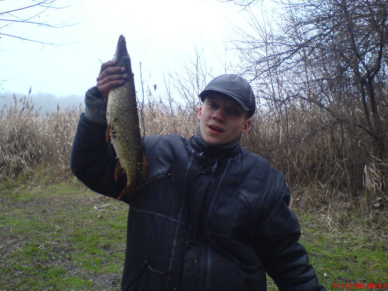 Zhenek