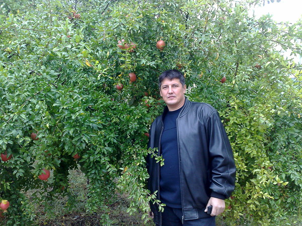 Алексей Каштанов