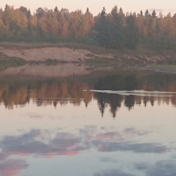 Александр Ожигин