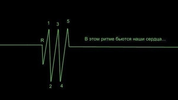 Евгений Солодовников