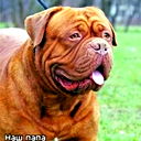 Владислав Критский