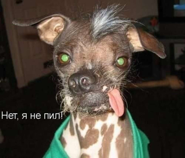 Евгений Москальков