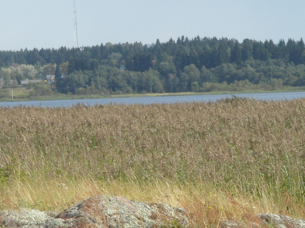 Алексей Дмитриев