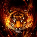 Fiery Tiger