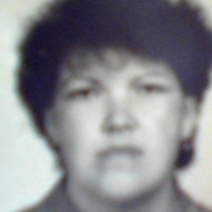 Елена Гуляева
