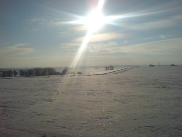 Светлана Бабаилова