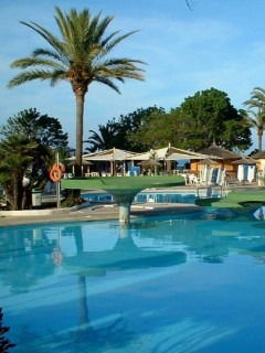 Светлана Терская