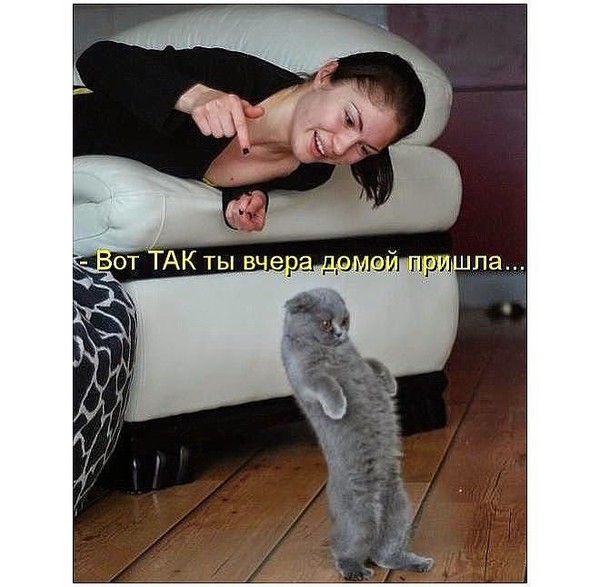 Света Однороженко