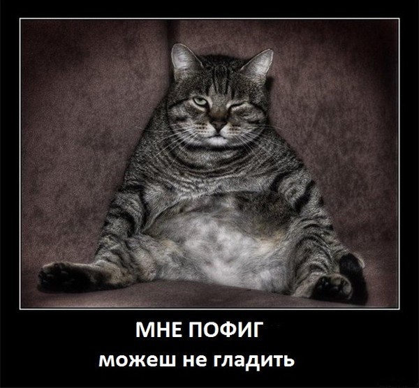 Саша Дмитренко