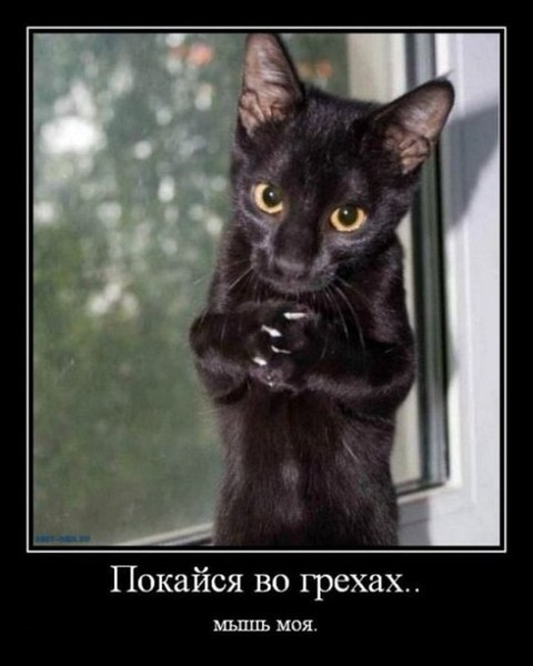 Наталья Феоктистова