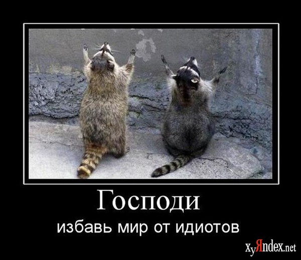 Андрей Шульц