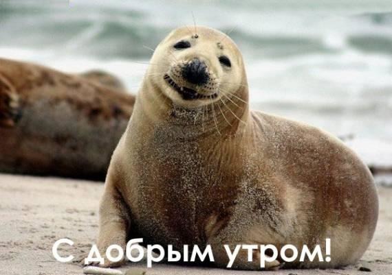 Вредина Вредина