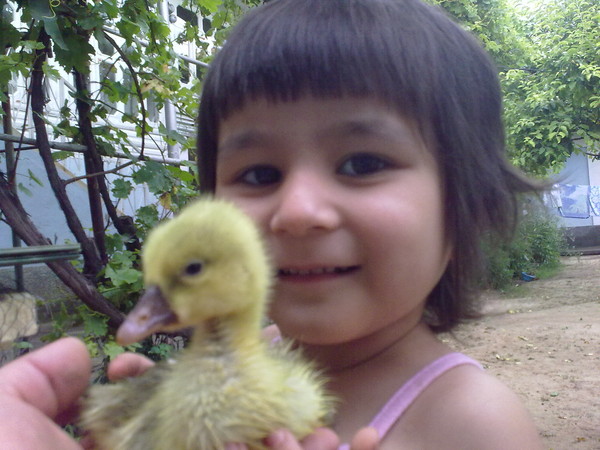 Jasur Abdullaev