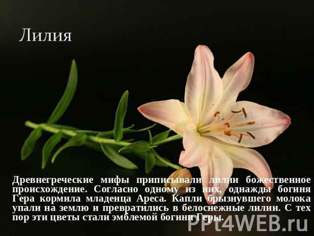 Лилия Сайметова