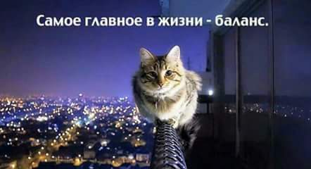 Наталья Нестерова