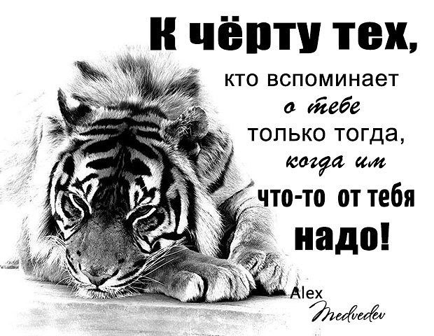 Алексей Докшин