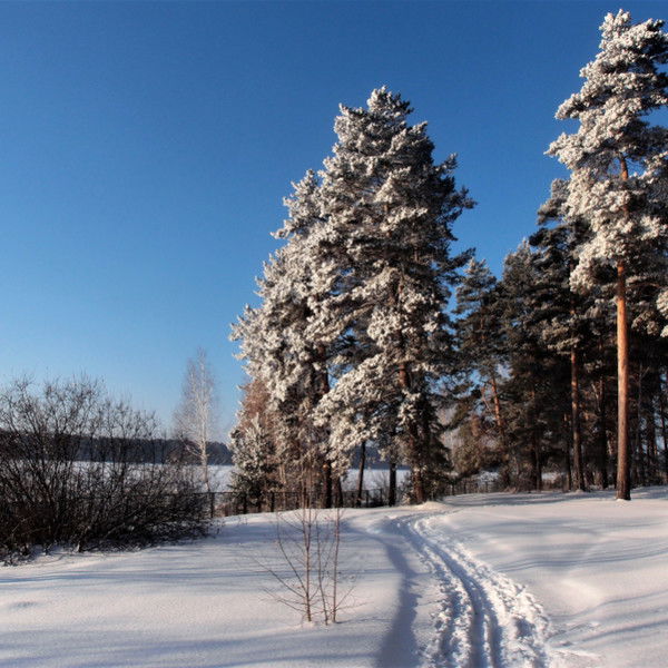 Олег Зверев