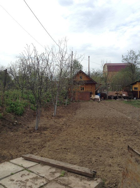 Евгений Лебедев