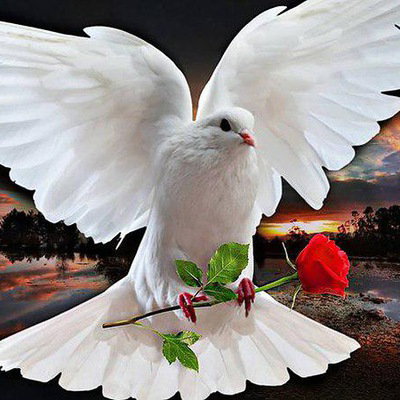 Ліна Климюк