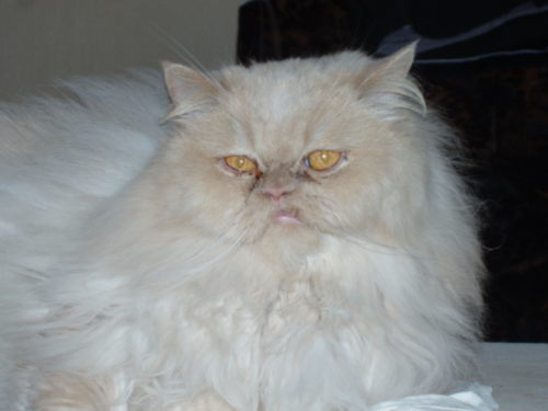 Сергей Изюмский