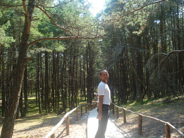 Александр Ульяненко