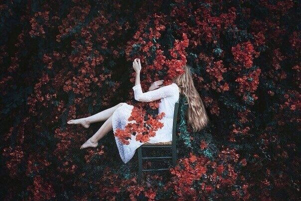 Милена Осипенко