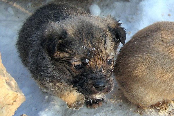Диспетчерская Большая Мурта