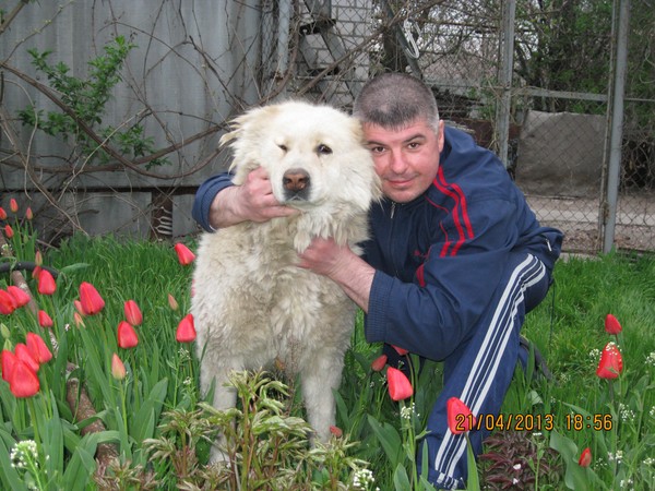 Александр Прокопчук
