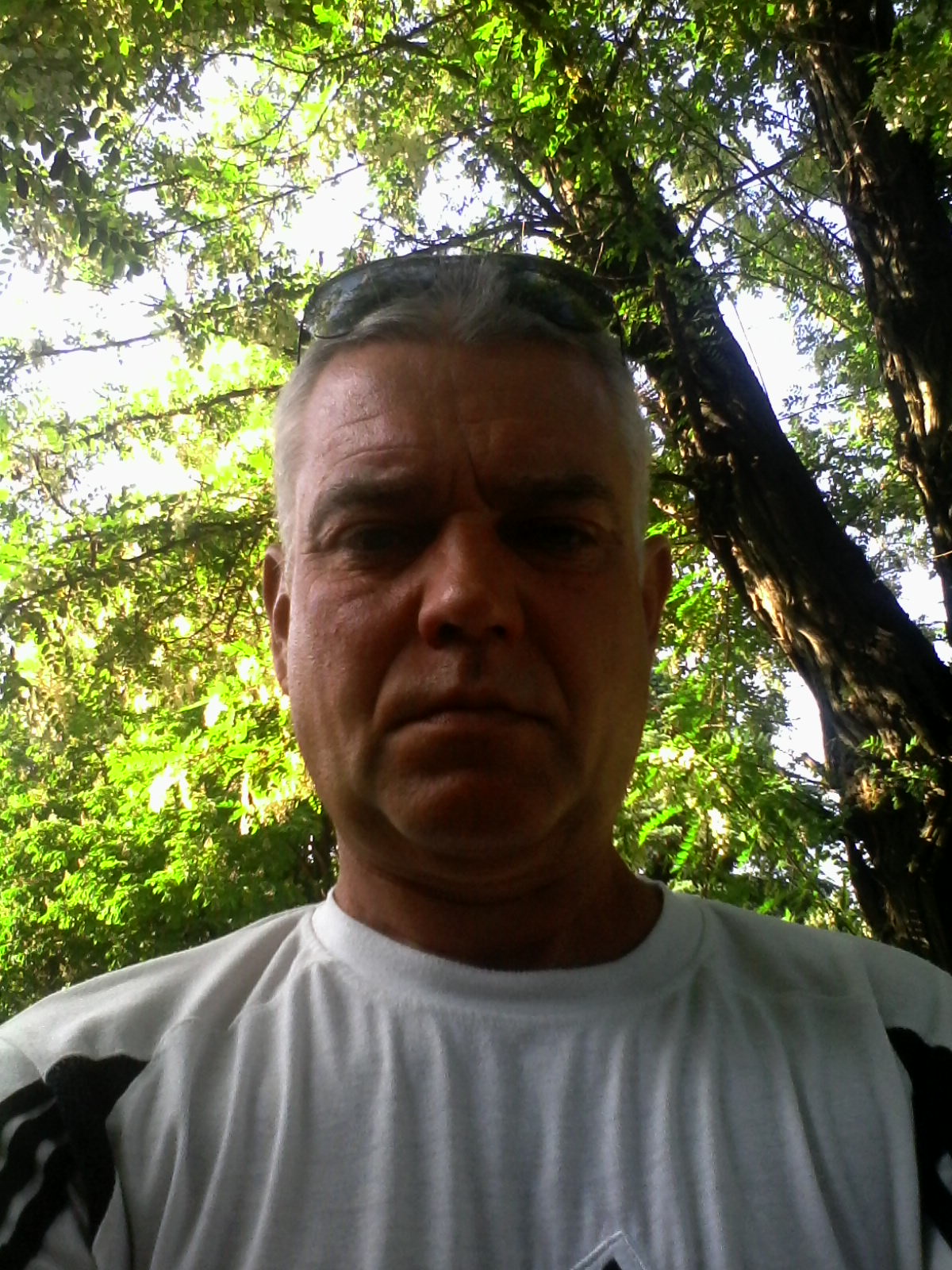 Александр Швец