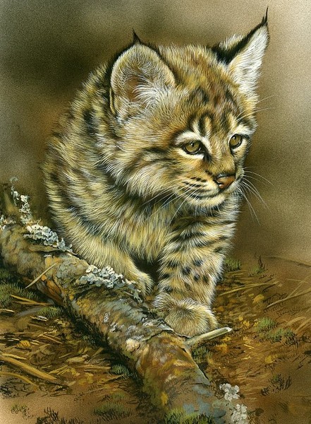 Лена Подволоцкая