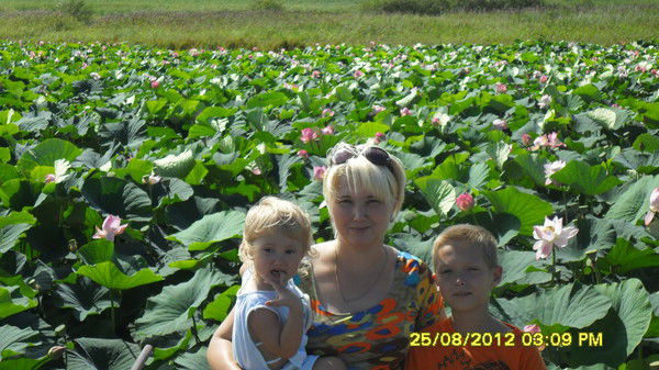 Елена Ильина