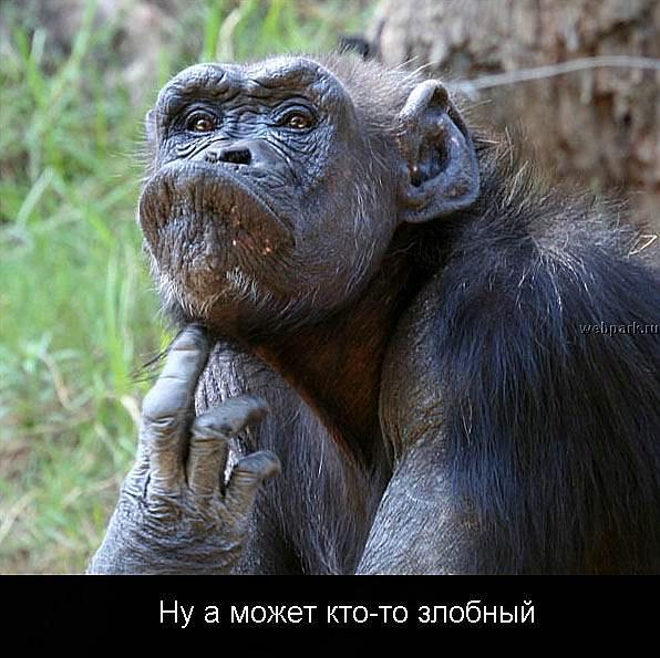 Лесной Человек