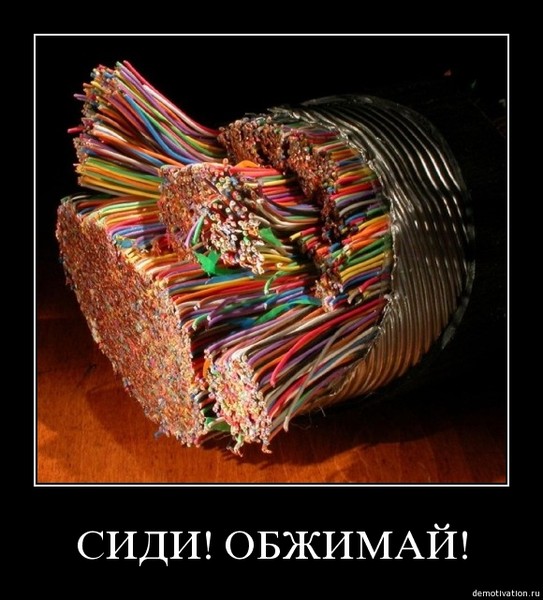 Дмитрий Чечелев