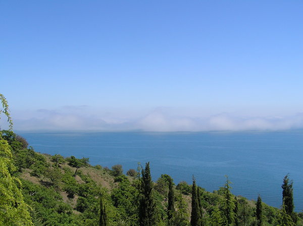 Вадим Дейно