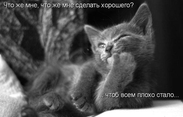 Юрий Иванов