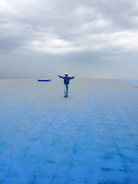 Лео Воробей